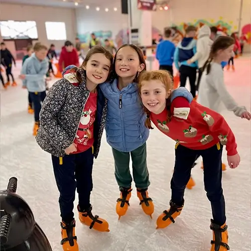 Cork ice rink, 3 of 14